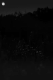 Incomplete Trailer