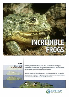 Incredible frogs Trailer