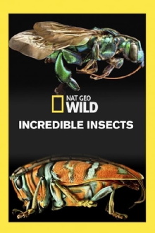 Incredible Insects Trailer
