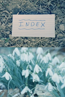 Index Trailer
