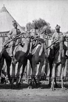 Indian Scene of Procession Trailer
