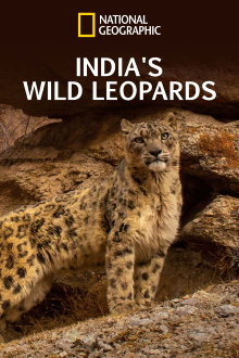 India's Wild Leopards Trailer