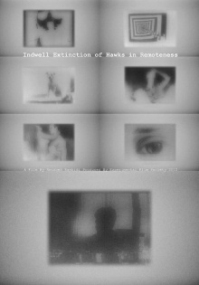 Indwell Extinction of Hawks in Remoteness Trailer