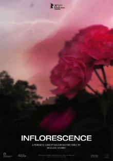 Inflorescence Trailer