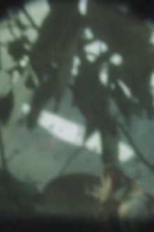 INITIAL VAPOR Trailer
