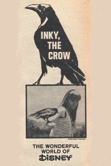Inky, the Crow Trailer