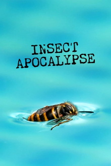 Insect Apocalypse Trailer