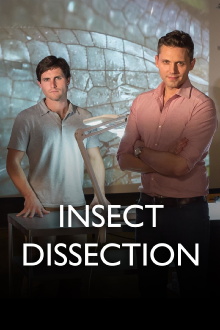 Insect Dissection Trailer