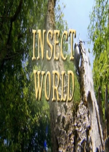 Insect World Trailer
