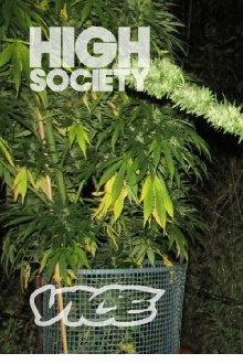 Inside a Secret Weed Farm Hidden in Plain Sight Trailer