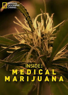 Inside: Medical Marijuana Trailer