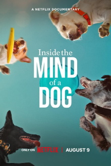 Inside the Mind of a Dog Trailer