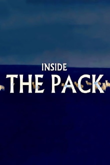 Inside The Pack Trailer