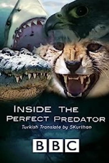 Inside the Perfect Predator Trailer