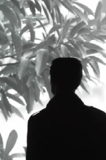 Intercourses Trailer