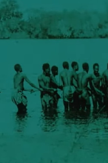 Interior of Africa Trailer