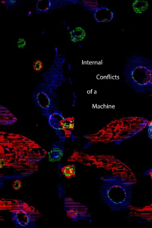 Internal Conflicts of a Machine Trailer