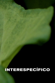 Interspecific Trailer