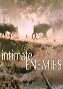 Intimate Enemies Trailer