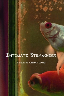 Intimate Strangers Trailer