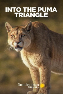 Into the Puma Triangle Trailer