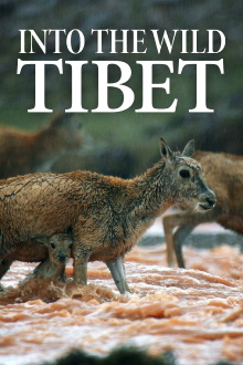 Into the Wild Tibet Trailer