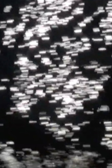 Invert and All That Is Solid Trailer
