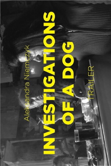 Investigations of a Dog Trailer