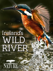 Ireland's Wild River Trailer