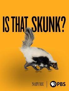 Is That Skunk? Trailer