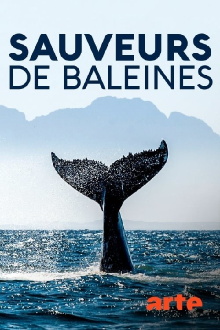 Island Heroes: The Whale Rescuers of Campobello Island Trailer