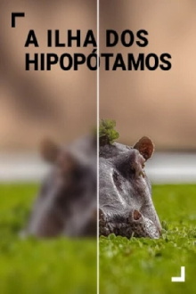 Island of the Hippos Trailer