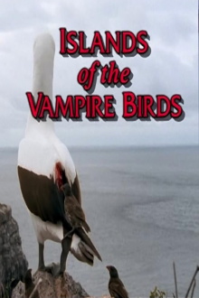 Islands of the Vampire Birds Trailer