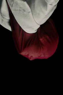 It Is Not Spring, Until All Flowers Blossom Trailer