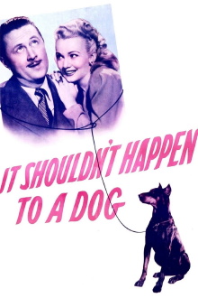 It Shouldn't Happen to a Dog Trailer