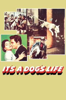 It's a Dog's Life Trailer