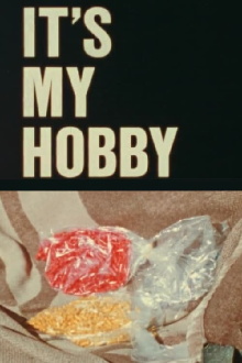 It's My Hobby Trailer