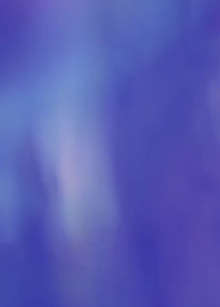 Jacarandas Trailer