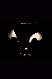 Jack-O-Lanterns Trailer