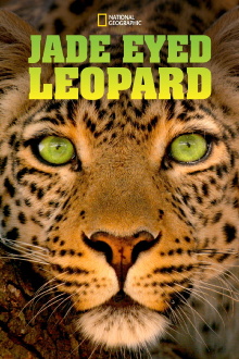 Jade Eyed Leopard Trailer