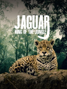 Jaguar: King of the Jungle Trailer