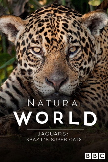 Jaguars: Brazil's Super Cats Trailer