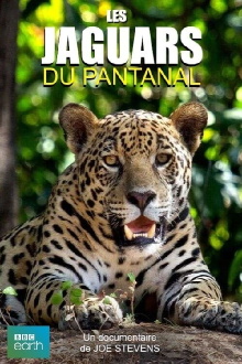 Jaguars of the Pantanal Trailer