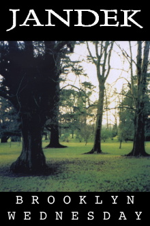 Jandek: Brooklyn Wednesday Trailer