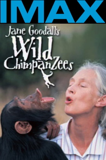 Jane Goodall's Wild Chimpanzees Trailer