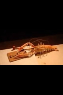 Jantar Trailer