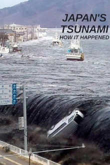 Japan's Tsunami: How It Happened Trailer