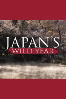 Japan's Wild Year Trailer
