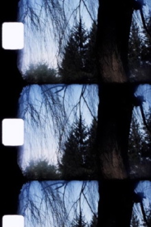 Jardin Trailer