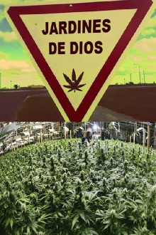 Jardines de Dios Trailer